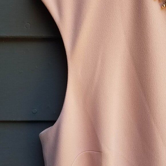 NWT !!   Beautiful!  Tahari Pink Rhinestone Collar Sheath Size 14 - Picture 7 of 12